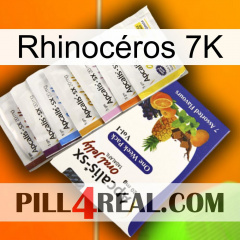 Rhinocéros 7K 11